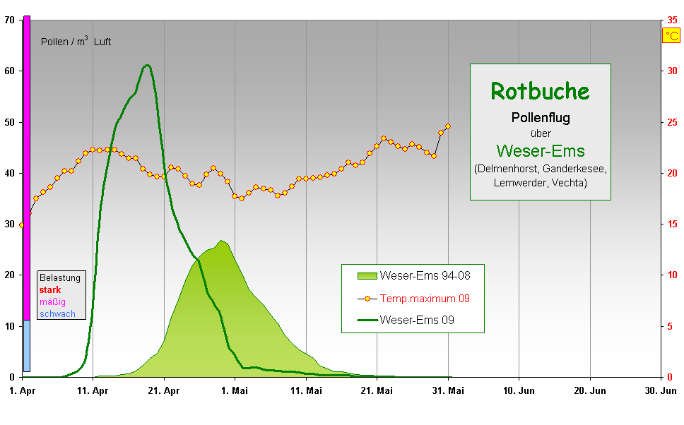 Rotbuche
Pollenflug 
ber 
Weser-Ems
(Delmenhorst, Ganderkesee, 
Lemwerder, Vechta) 
