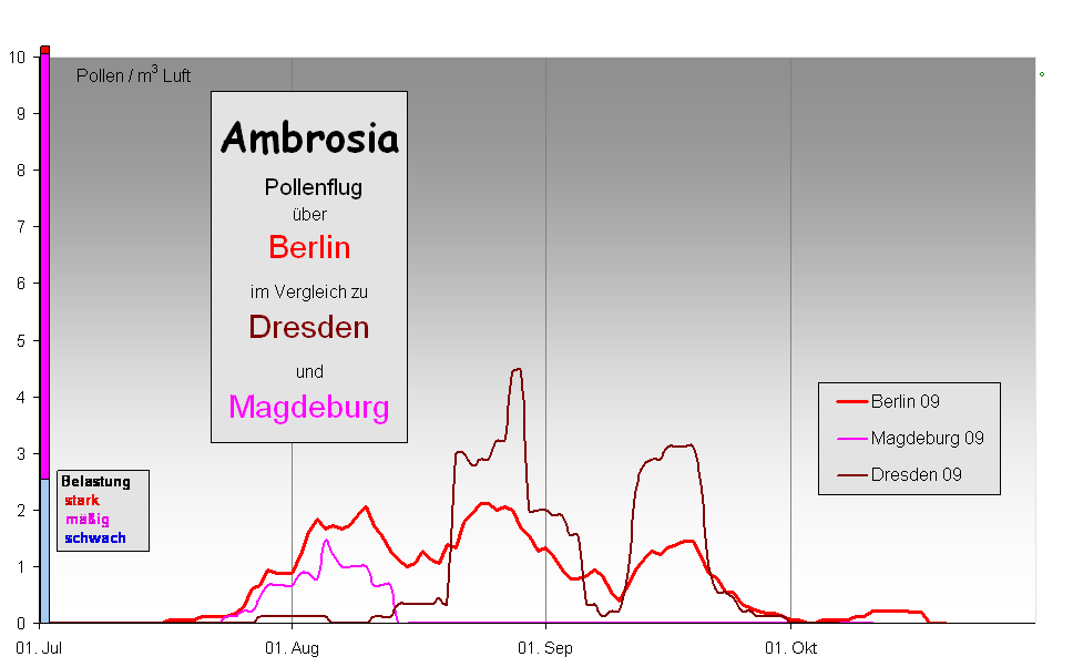 Ambrosia
 Pollenflug 
ber 
Berlin  
im Vergleich zu 
Dresden 
und
Magdeburg