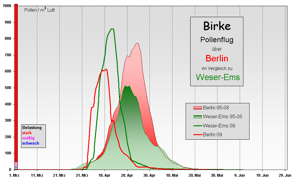Birke WE-Ber