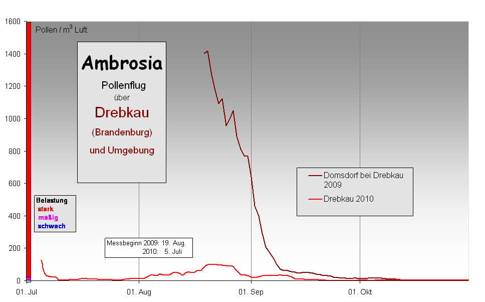 Ambrosia
 Pollenflug 
ber 
Drebkau
(Brandenburg) 
und Umgebung
