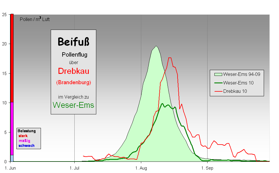 Beifu
 Pollenflug 
ber  
Drebkau
(Brandenburg) 

im Vergleich zu 
Weser-Ems