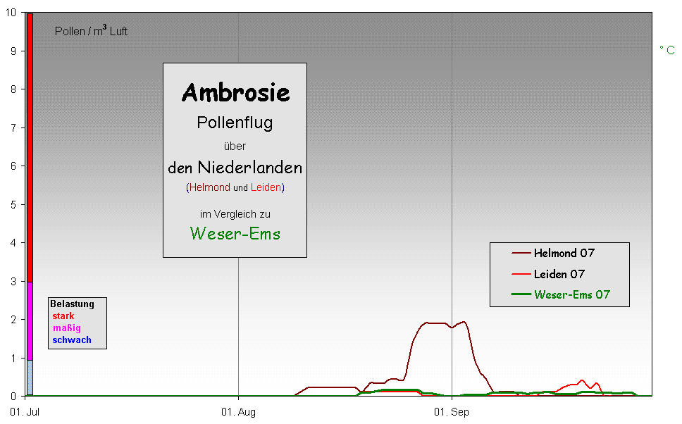 Ambrosie
Pollenflug 
ber 
den Niederlanden
(Helmond und Leiden)

im Vergleich zu 
Weser-Ems