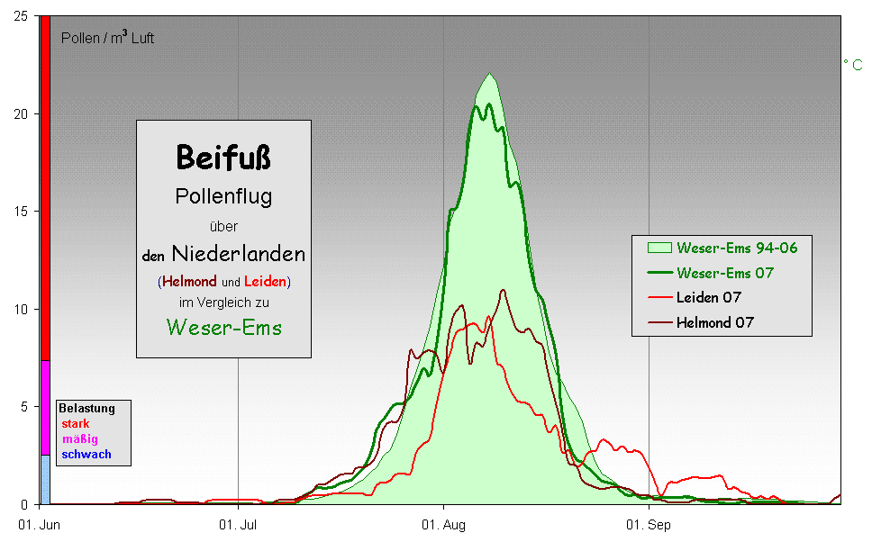 Beifu
Pollenflug 
ber 
den Niederlanden
(Helmond und Leiden)
im Vergleich zu 
Weser-Ems