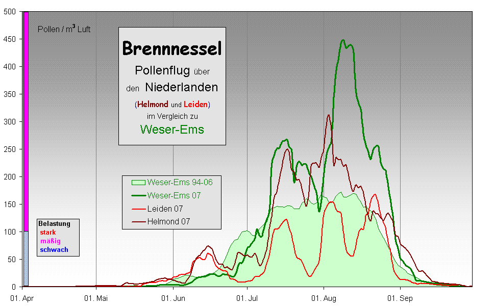 Brennnessel 
Pollenflug ber 
den  Niederlanden 
(Helmond und Leiden)
im Vergleich zu 
Weser-Ems 
