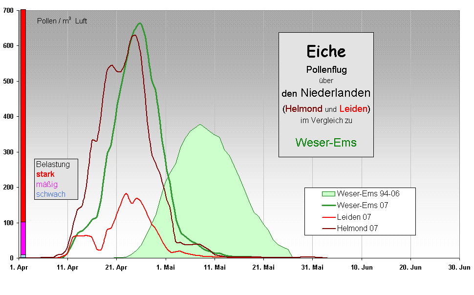 Eiche
Pollenflug 
ber 
den Niederlanden
(Helmond und Leiden)
im Vergleich zu 

Weser-Ems