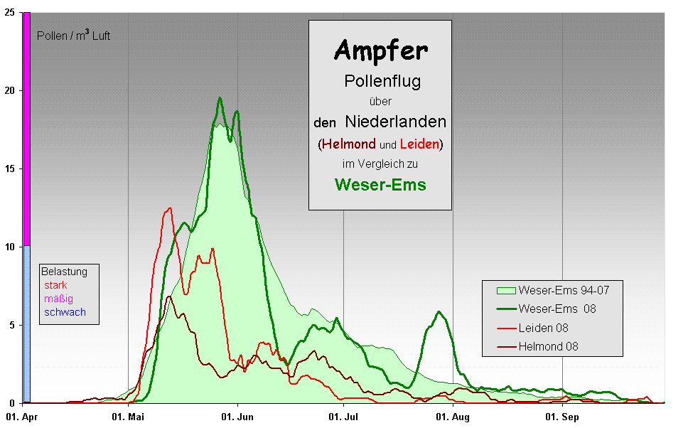 Ampfer 
 Pollenflug 
ber 
den  Niederlanden 
(Helmond und Leiden)
im Vergleich zu  
Weser-Ems 
