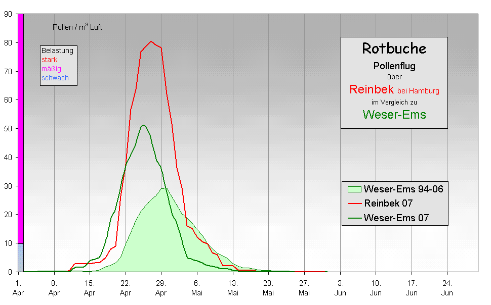 Rotbuche07 Reinbek-WEms